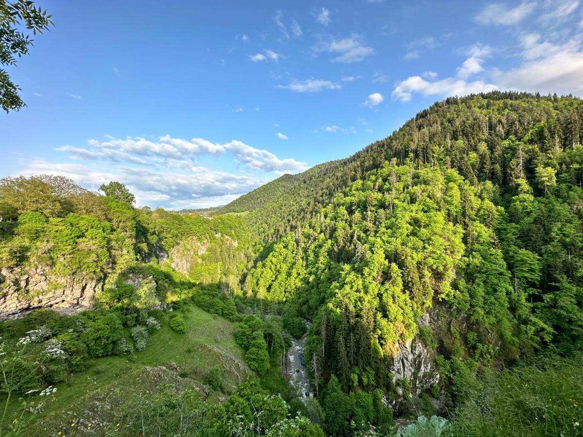 Green Mountain Borjomi Exterior foto