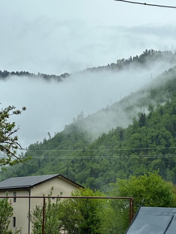 Green Mountain Borjomi Exterior foto