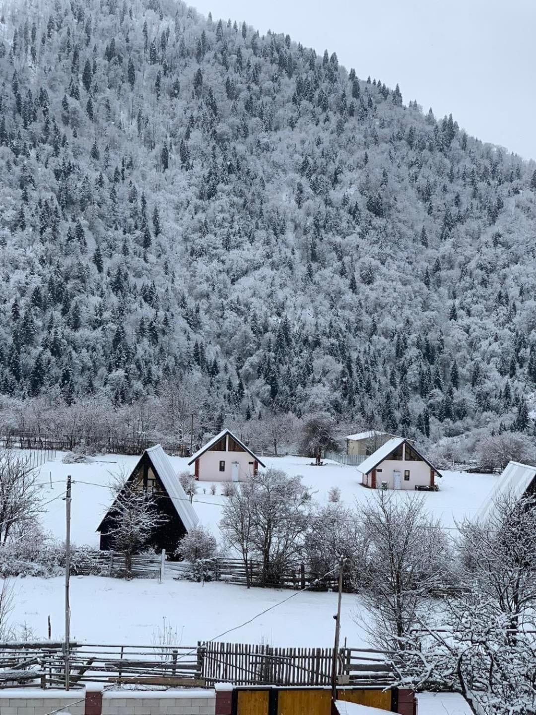 Green Mountain Borjomi Exterior foto