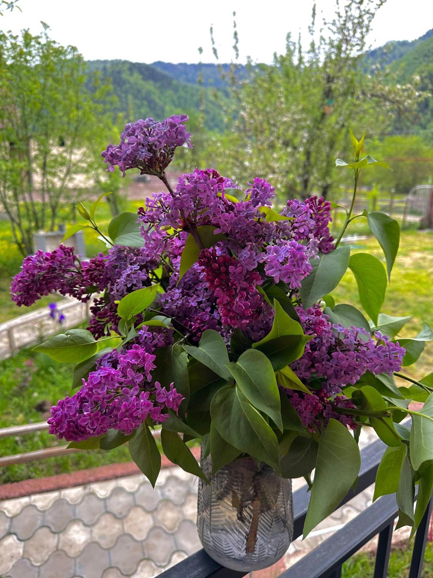 Green Mountain Borjomi Exterior foto